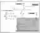 Fig. 35 - Carbohydrate conjugates as delivery agents for oligonucleotides