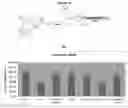 Fig. 45 - Carbohydrate conjugates as delivery agents for oligonucleotides