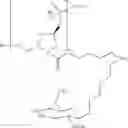 Fig. 59 - Carbohydrate conjugates as delivery agents for oligonucleotides