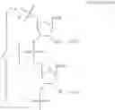 Fig. 80 - Carbohydrate conjugates as delivery agents for oligonucleotides