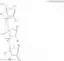 Fig. 81 - Carbohydrate conjugates as delivery agents for oligonucleotides