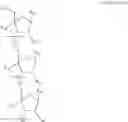 Fig. 86 - Carbohydrate conjugates as delivery agents for oligonucleotides