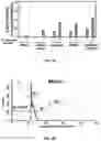 Fig. 06 - TARGETED SENSITIZATION OF NON-DEL(5q) MALIGNANT CELLS