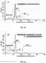 Fig. 07 - TARGETED SENSITIZATION OF NON-DEL(5q) MALIGNANT CELLS