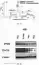 Fig. 08 - TARGETED SENSITIZATION OF NON-DEL(5q) MALIGNANT CELLS