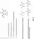 Fig. 09 - COMPOSITIONS AND METHODS RELATED TO TETHERED KETHOXAL DERIVATIVES