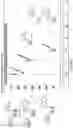 Fig. 17 - COMPOSITIONS AND METHODS RELATED TO TETHERED KETHOXAL DERIVATIVES