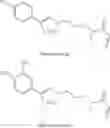 Fig. 28 - COMPOSITIONS AND METHODS RELATED TO TETHERED KETHOXAL DERIVATIVES