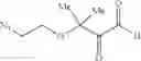 Fig. 33 - COMPOSITIONS AND METHODS RELATED TO TETHERED KETHOXAL DERIVATIVES