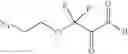 Fig. 45 - COMPOSITIONS AND METHODS RELATED TO TETHERED KETHOXAL DERIVATIVES