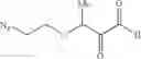 Fig. 47 - COMPOSITIONS AND METHODS RELATED TO TETHERED KETHOXAL DERIVATIVES