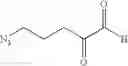 Fig. 71 - COMPOSITIONS AND METHODS RELATED TO TETHERED KETHOXAL DERIVATIVES