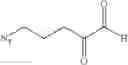 Fig. 86 - COMPOSITIONS AND METHODS RELATED TO TETHERED KETHOXAL DERIVATIVES