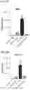 Fig. 07 - Immolative cell-penetrating complexes for nucleic acid delivery to the lung