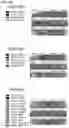 Fig. 11 - Immolative cell-penetrating complexes for nucleic acid delivery to the lung