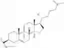 Fig. 114 - Immolative cell-penetrating complexes for nucleic acid delivery to the lung