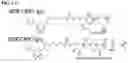 Fig. 12 - Immolative cell-penetrating complexes for nucleic acid delivery to the lung
