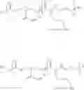 Fig. 120 - Immolative cell-penetrating complexes for nucleic acid delivery to the lung