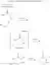 Fig. 148 - Immolative cell-penetrating complexes for nucleic acid delivery to the lung