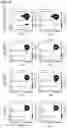 Fig. 21 - Immolative cell-penetrating complexes for nucleic acid delivery to the lung