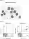 Fig. 22 - Immolative cell-penetrating complexes for nucleic acid delivery to the lung