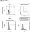 Fig. 24 - Immolative cell-penetrating complexes for nucleic acid delivery to the lung