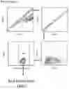 Fig. 26 - Immolative cell-penetrating complexes for nucleic acid delivery to the lung