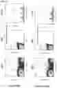 Fig. 27 - Immolative cell-penetrating complexes for nucleic acid delivery to the lung