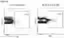 Fig. 37 - Immolative cell-penetrating complexes for nucleic acid delivery to the lung