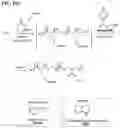 Fig. 38 - Immolative cell-penetrating complexes for nucleic acid delivery to the lung