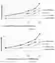 Fig. 03 - Composition of polyethylene glycol maleimide derivative and polymerization inhibitor