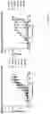 Fig. 10 - INTERNALIZING BINDING MOLECULES TARGETING RECEPTORS INVOLVED IN CELL PROLIFERATION OR IN CELL DIFFERENTIATION