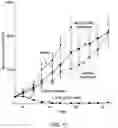Fig. 12 - Anti-CD25 antibody-maytansine conjugates and methods of use thereof