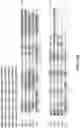 Fig. 14 - Anti-CD25 antibody-maytansine conjugates and methods of use thereof
