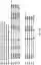 Fig. 17 - Anti-CD25 antibody-maytansine conjugates and methods of use thereof