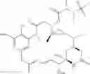 Fig. 29 - Anti-CD25 antibody-maytansine conjugates and methods of use thereof