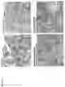 Fig. 23 - METHODS FOR INCREASING EFFICACY OF FOLR1 CANCER THERAPY