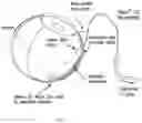 Fig. 03 - Gene Therapy For Eye Pathologies