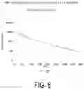 Fig. 05 - SUBCUTANEOUS AND INTRAMUSCULAR ADMINISTRATION OF PYRAZINE COMPOUNDS