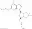 Fig. 07 - USE OF TRIAZOLO[4,5-D]PYRIMIDINE DERIVATIVES