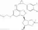 Fig. 17 - USE OF TRIAZOLO[4,5-D]PYRIMIDINE DERIVATIVES