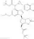 Fig. 21 - USE OF TRIAZOLO[4,5-D]PYRIMIDINE DERIVATIVES