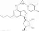 Fig. 22 - USE OF TRIAZOLO[4,5-D]PYRIMIDINE DERIVATIVES