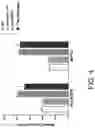 Fig. 05 - HER3 RADIOIMMUNOTHERAPY FOR THE TREATMENT OF SOLID CANCERS