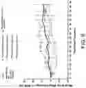 Fig. 10 - HER3 RADIOIMMUNOTHERAPY FOR THE TREATMENT OF SOLID CANCERS
