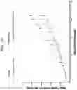 Fig. 13 - HER3 RADIOIMMUNOTHERAPY FOR THE TREATMENT OF SOLID CANCERS