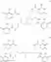 Fig. 27 - RADIO-PHARMACEUTICAL COMPLEXES