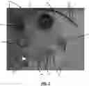 Fig. 03 - AIR STERILIZATION APPARATUS AND METHOD FOR VEHICLE
