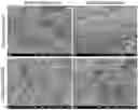 Fig. 01 - Acoustic extracellular matrix hydrogels and their use