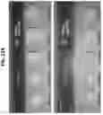 Fig. 16 - Acoustic extracellular matrix hydrogels and their use